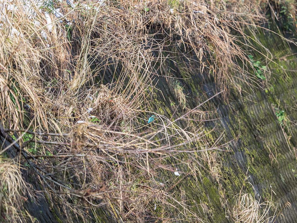 f:id:hiro-ride:20170216001253j:plain