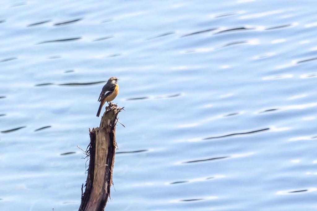 f:id:hiro-ride:20170216001322j:plain