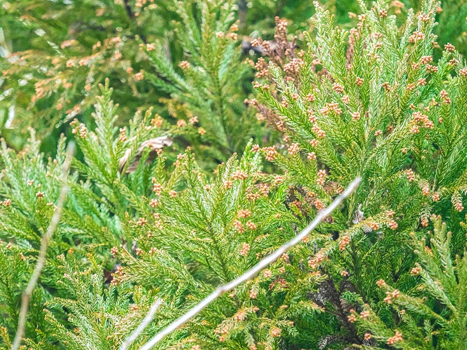 f:id:hiro-ride:20170216001512j:plain