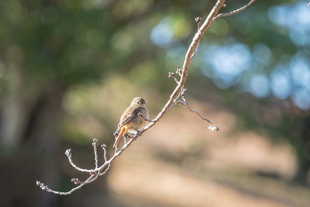 f:id:hiro-ride:20170216001524j:plain