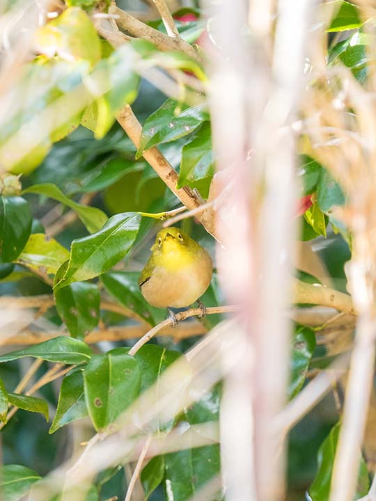 f:id:hiro-ride:20170216001553j:plain