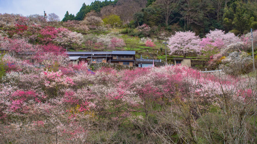 f:id:hiro-ride:20170424223746j:plain