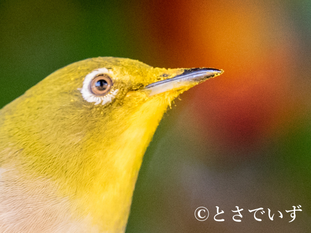 f:id:hiro-ride:20180110180940j:plain