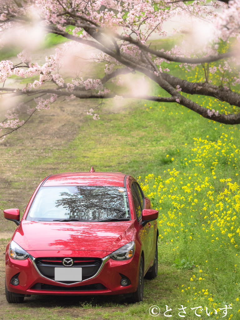 f:id:hiro-ride:20180110181302j:plain