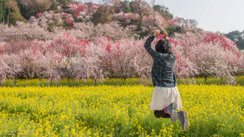 f:id:hiro-ride:20180403153452j:plain