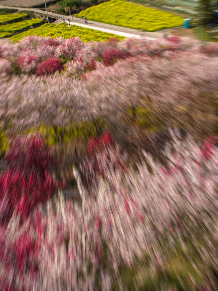 f:id:hiro-ride:20180403154700j:plain