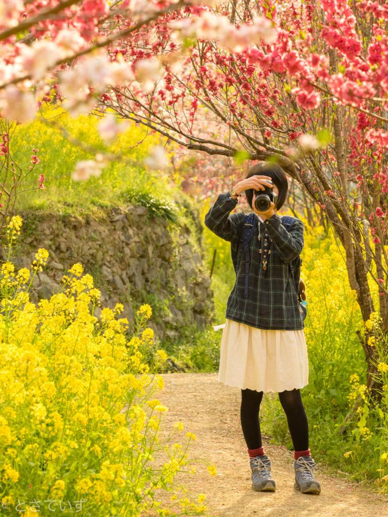 f:id:hiro-ride:20180403162813j:plain