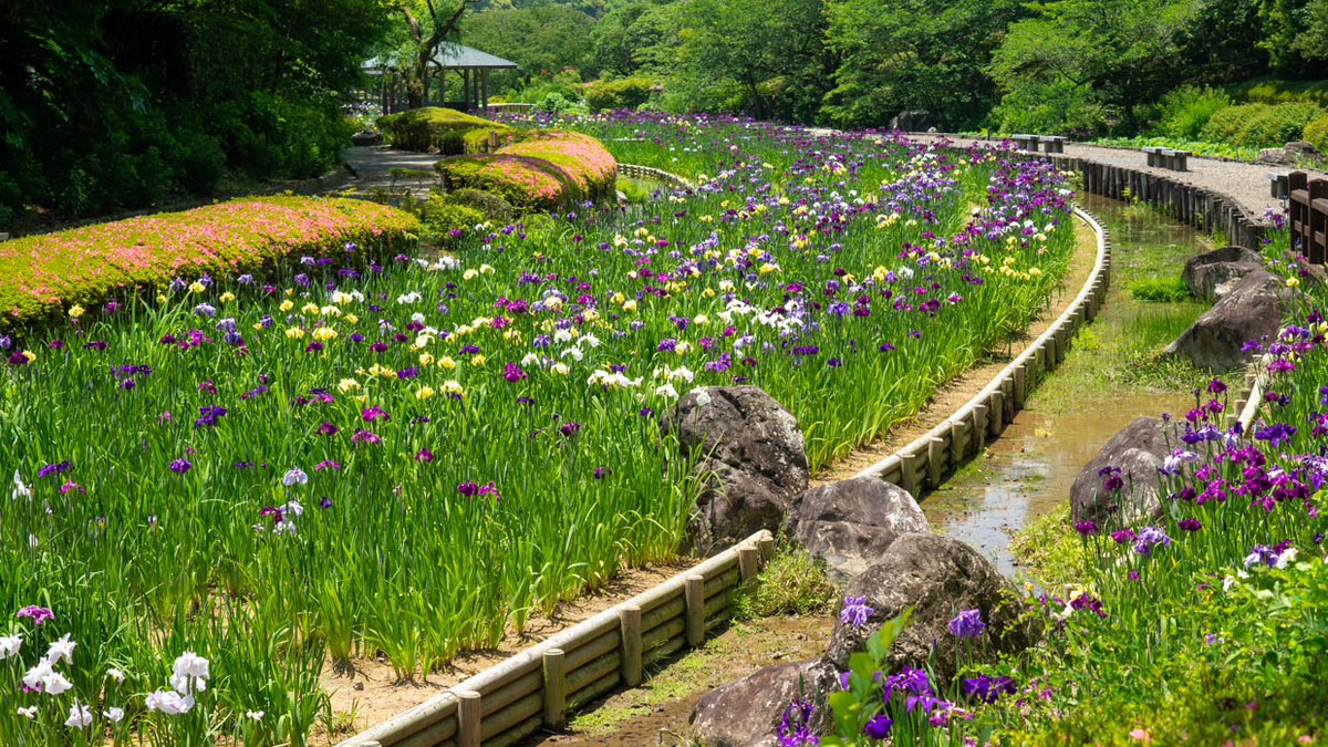 f:id:hiro-ride:20190625002646j:plain