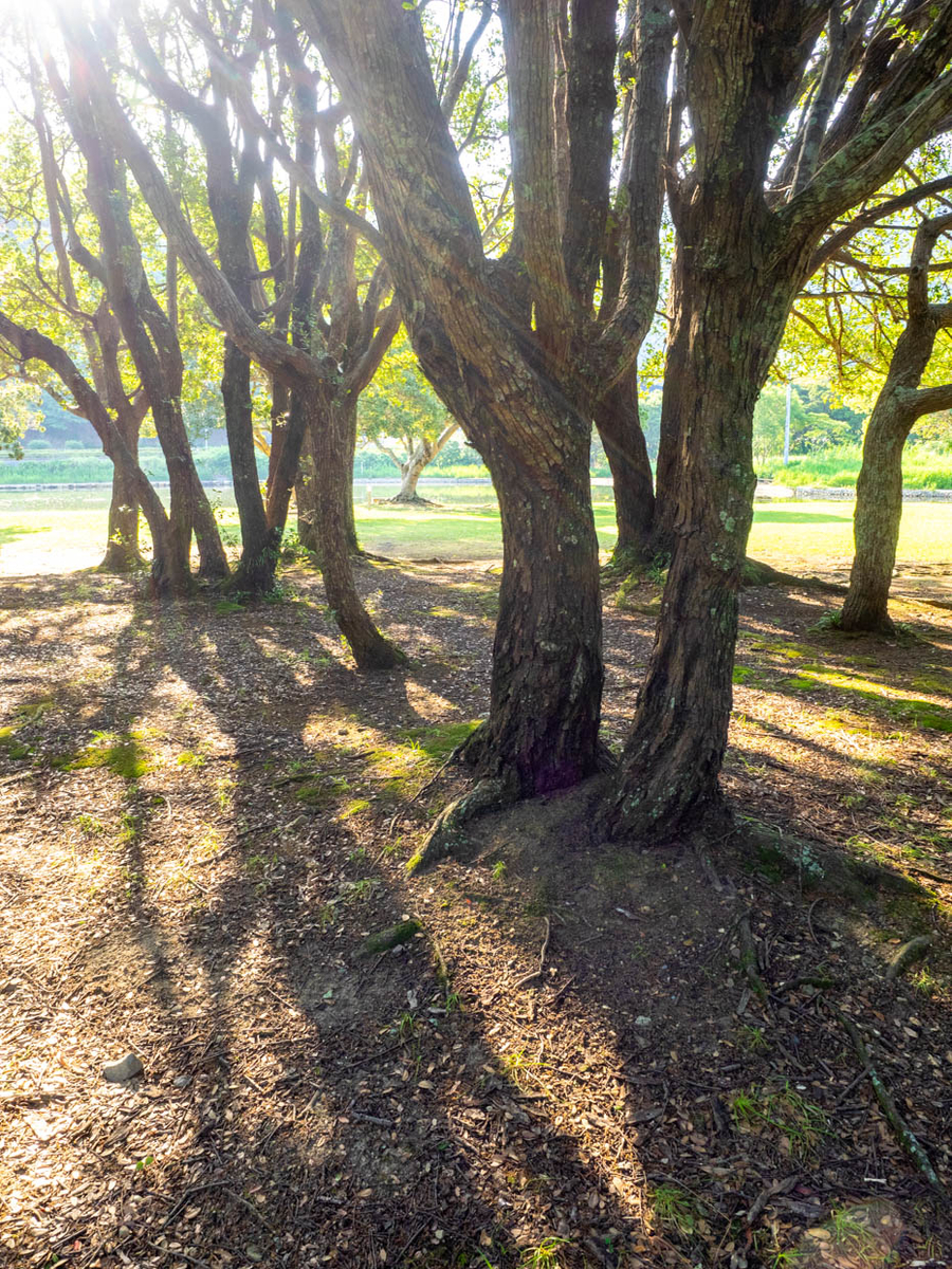 f:id:hiro-ride:20190626011835j:plain