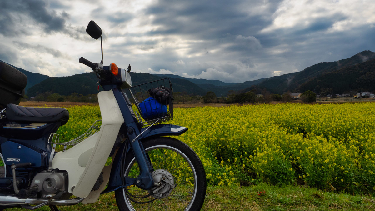 スーパーカブ90（HA02型）のドライブチェーン交換「RK420MS 98リンク