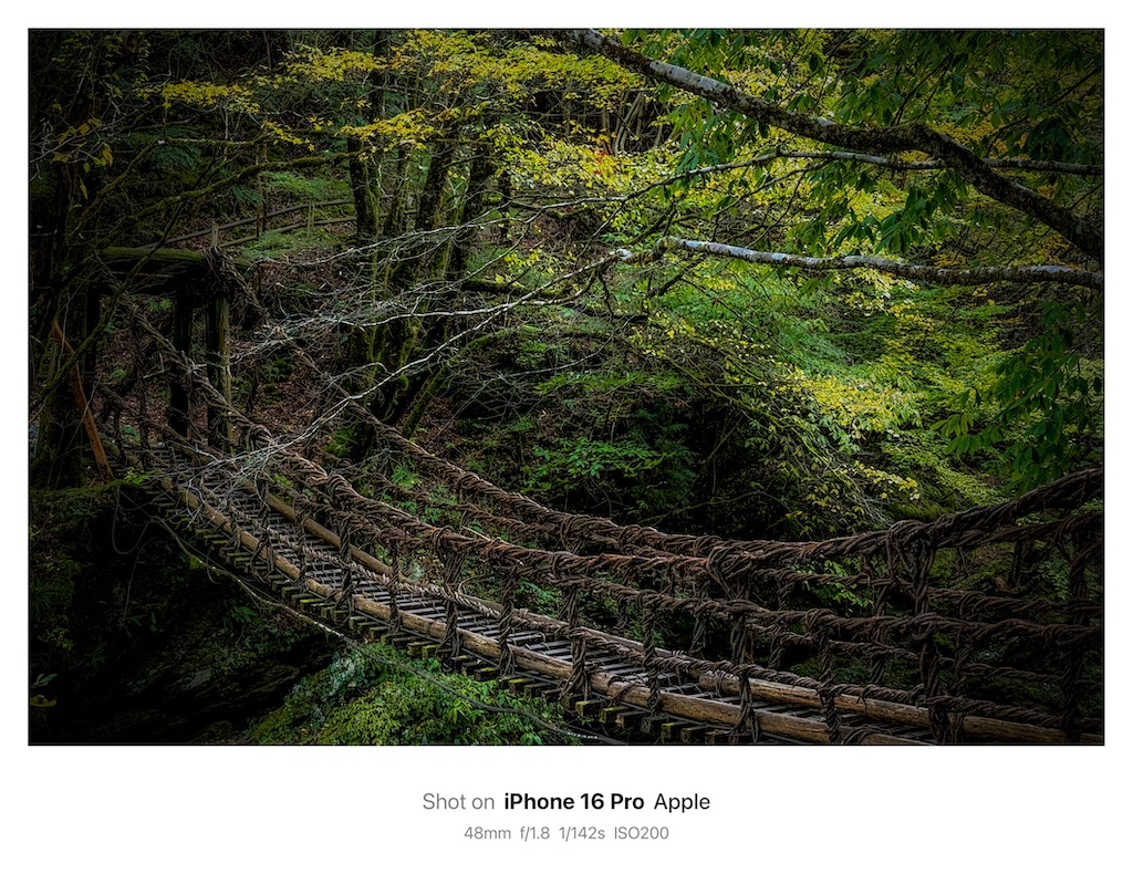 f:id:hiro-ride:20251111005752j:image