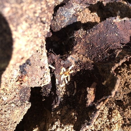 枕木はどう立てる 外構diyの注意点と立て方を解説 Hiroの手作り木工ブログ