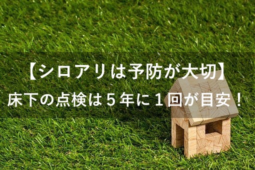 【シロアリ】床下の点検