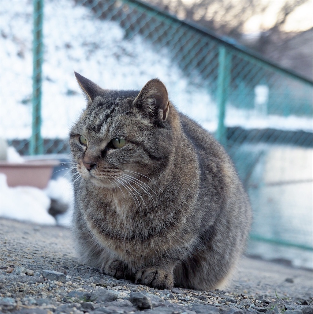 f:id:hiro-taka-19971202:20180102202623j:image f:id:hiro-taka-19971202:20180102202623j:image