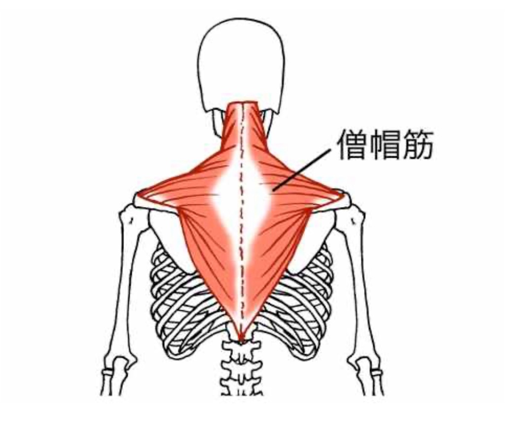 f:id:hiro0618chang:20220717131858j:image f:id:hiro0618chang:20220717131858j:image