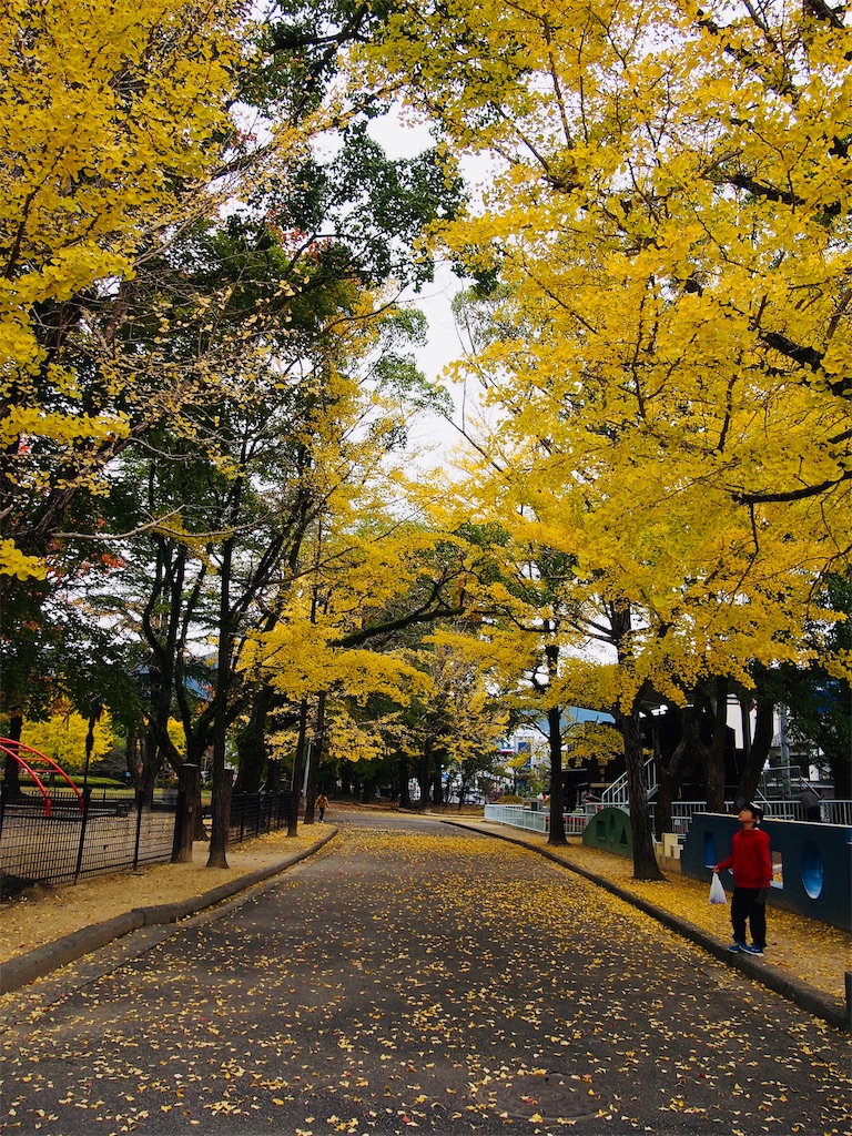 f:id:hiro0706chang:20191124141606j:image