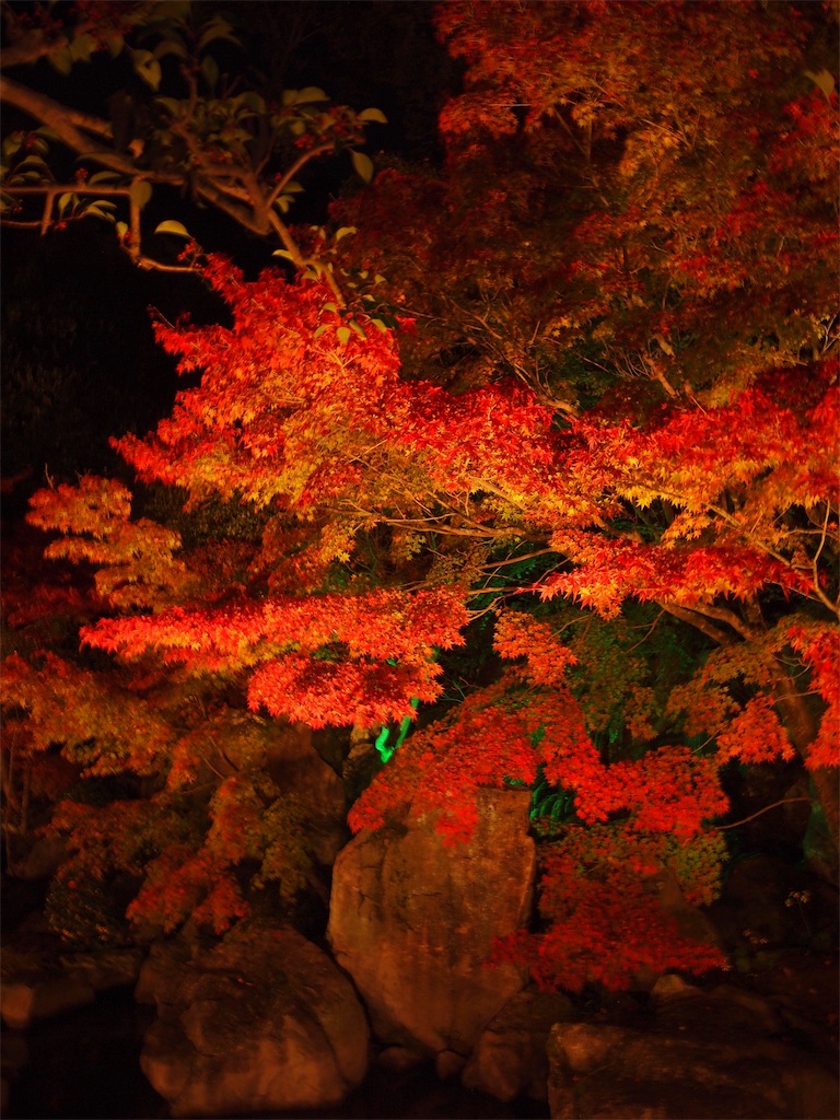 f:id:hiro0706chang:20191129112045j:image f:id:hiro0706chang:20191129112045j:image
