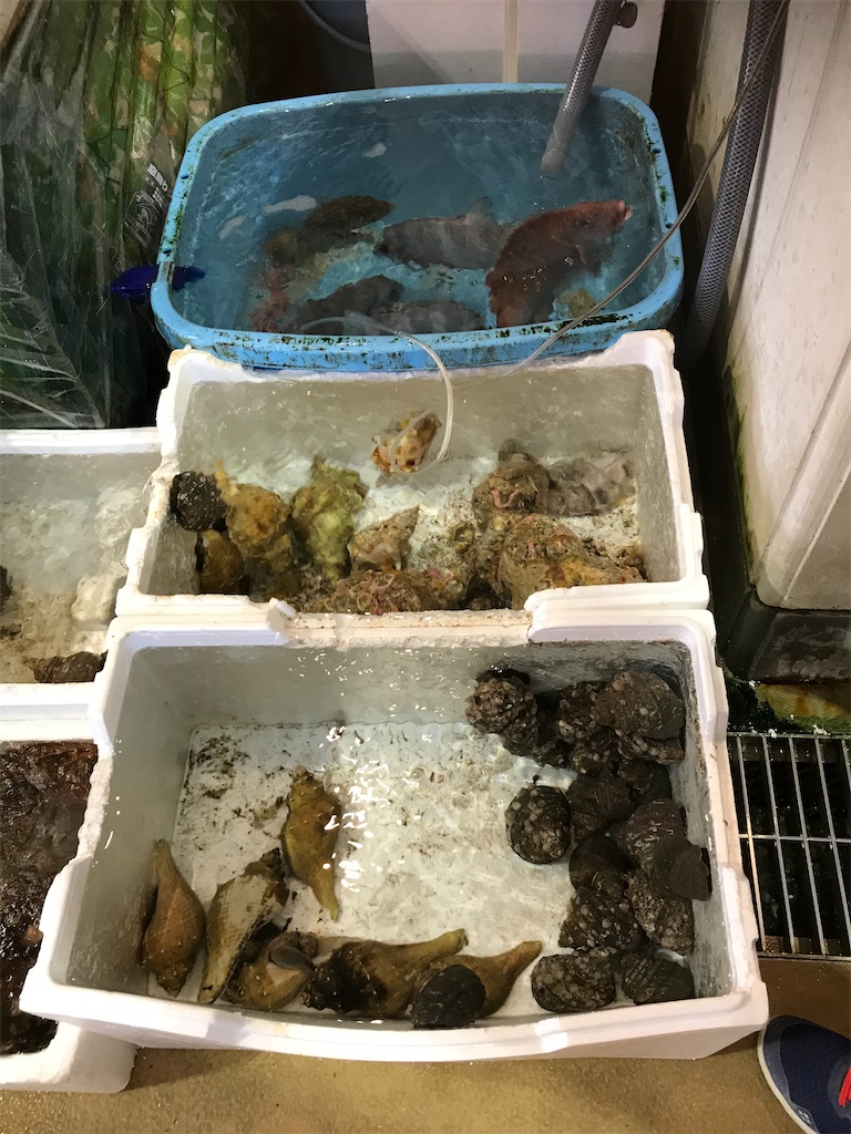 f:id:hiro0706chang:20191209074308j:image
