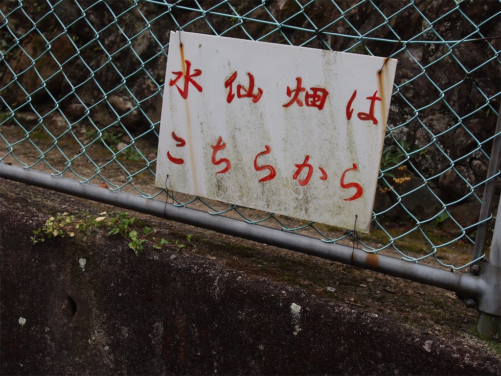 f:id:hiro0706chang:20200119194150j:image