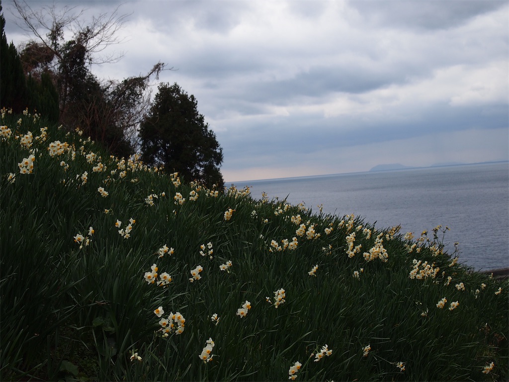 f:id:hiro0706chang:20200119194310j:image
