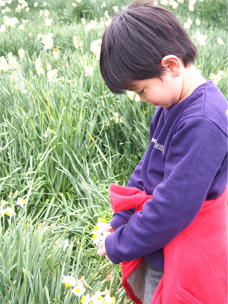 f:id:hiro0706chang:20200119194354j:image