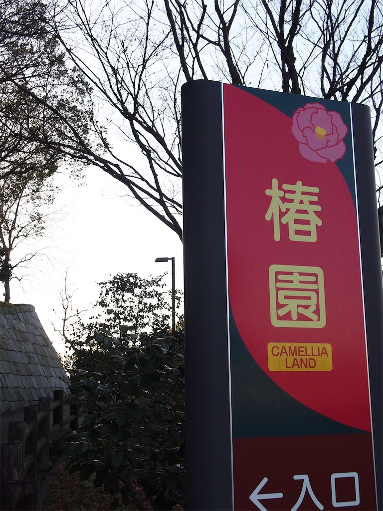 f:id:hiro0706chang:20200214110512j:image f:id:hiro0706chang:20200214110512j:image