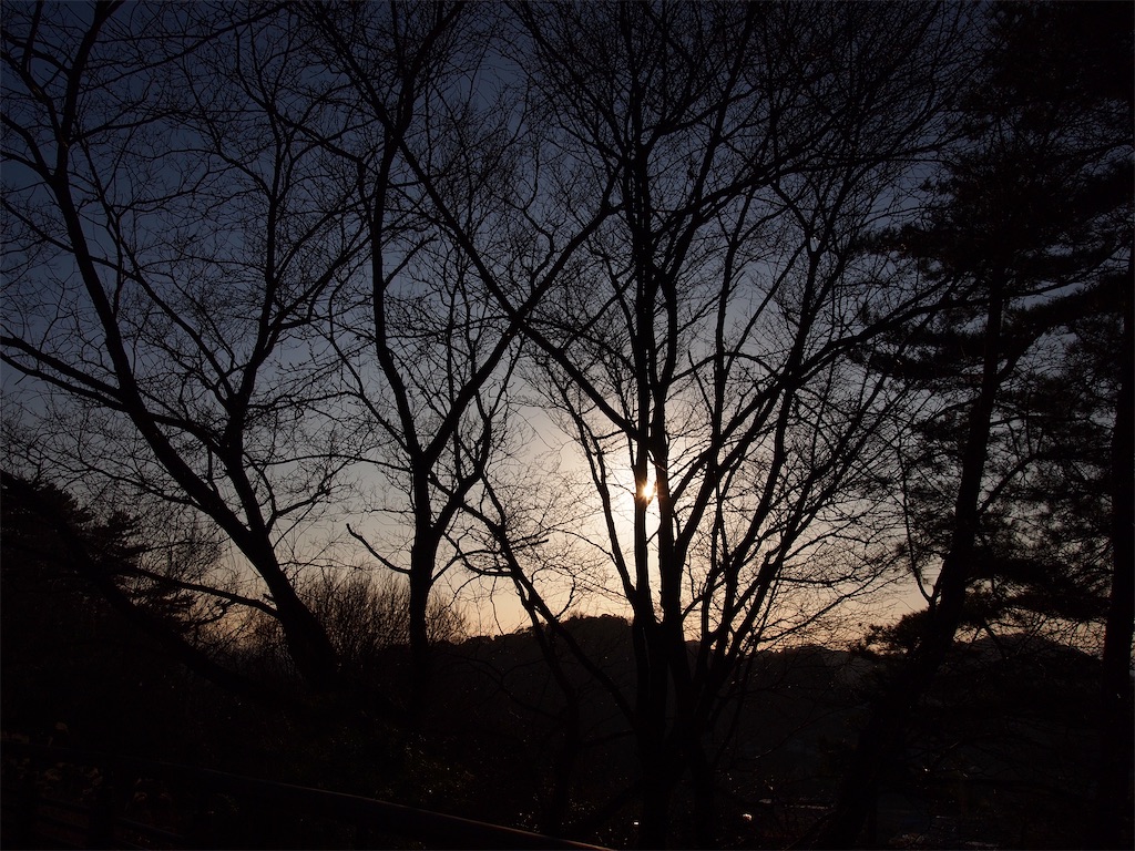 f:id:hiro0706chang:20200214110527j:image f:id:hiro0706chang:20200214110527j:image