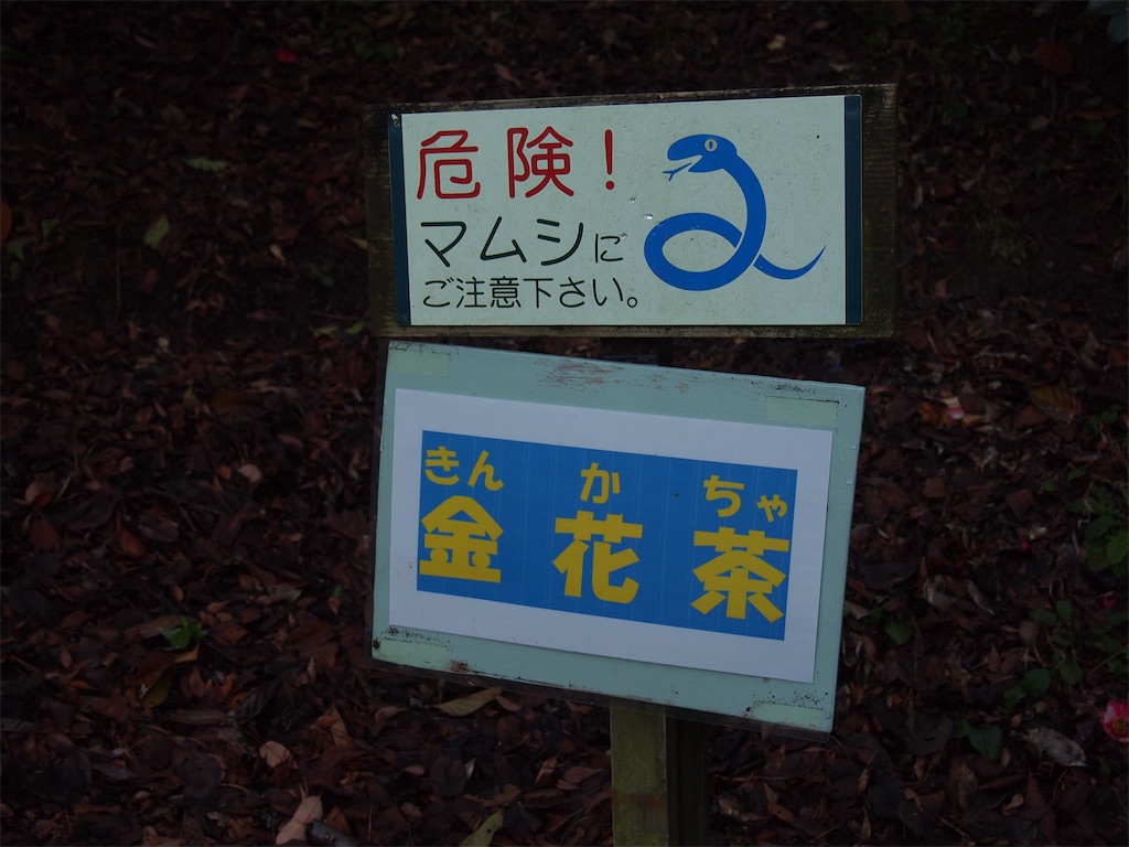 f:id:hiro0706chang:20200214110550j:image f:id:hiro0706chang:20200214110550j:image