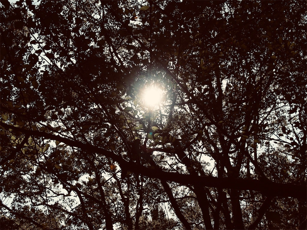 f:id:hiro0706chang:20201012215502j:image