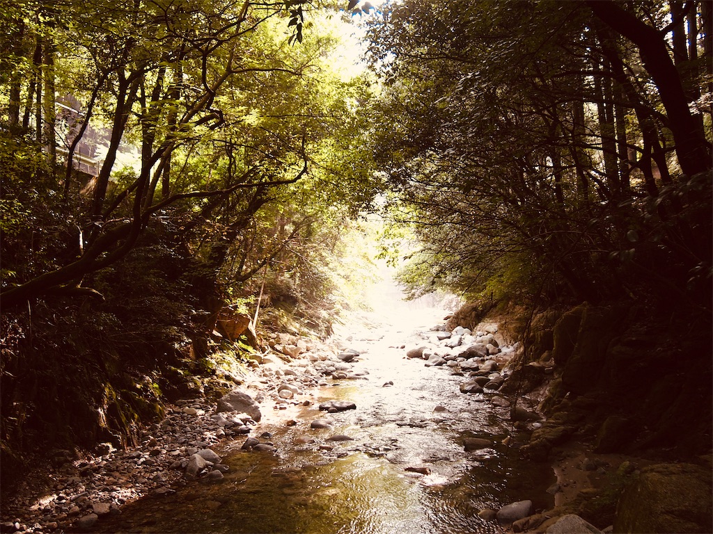 f:id:hiro0706chang:20201012215518j:image