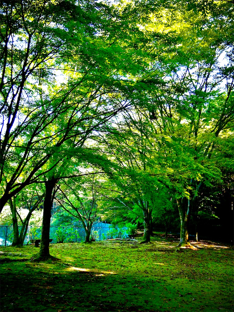 f:id:hiro0706chang:20201012215521j:image