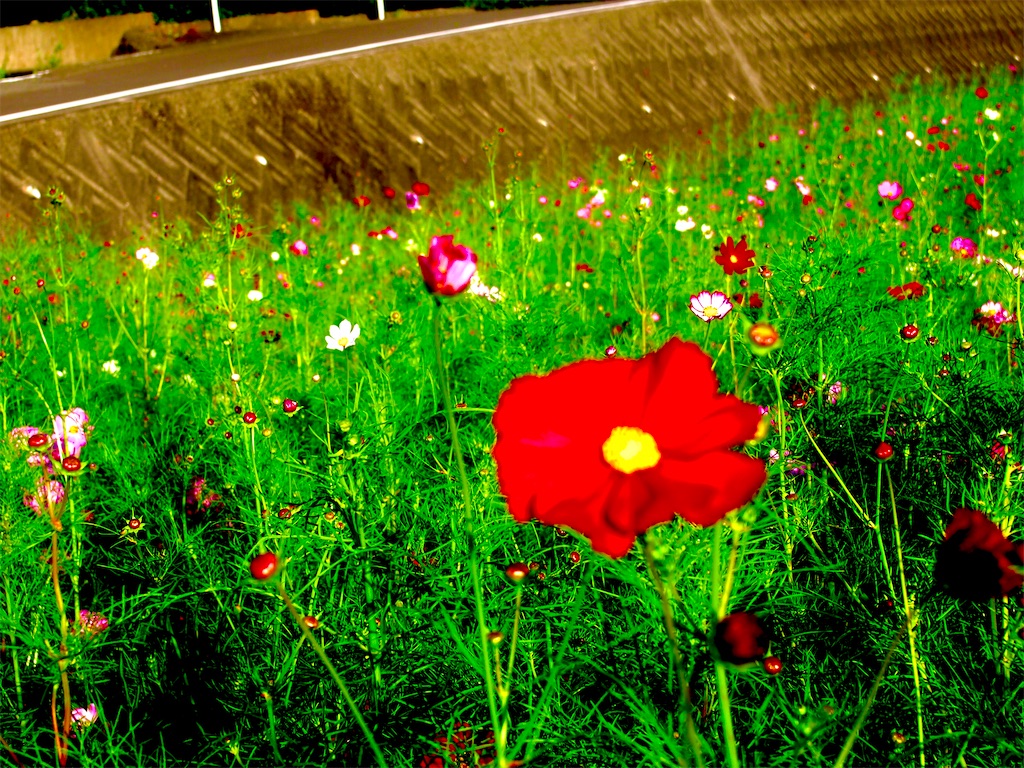 f:id:hiro0706chang:20201012215821j:image