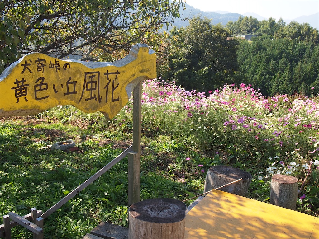 f:id:hiro0706chang:20201110204519j:image