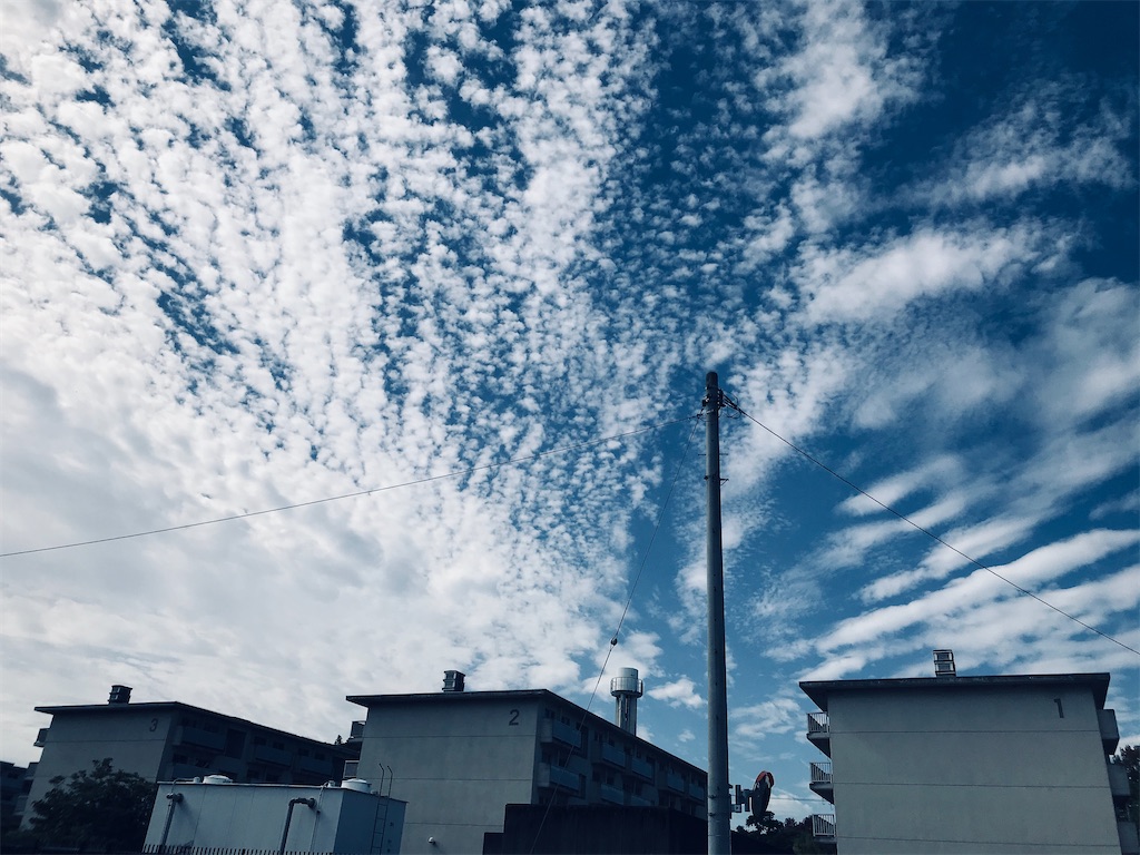 f:id:hiro0706chang:20201110204604j:image
