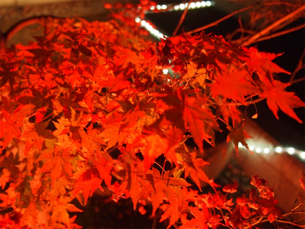 f:id:hiro0706chang:20201128212143j:image