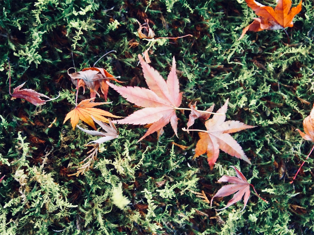 f:id:hiro0706chang:20201128212635j:image