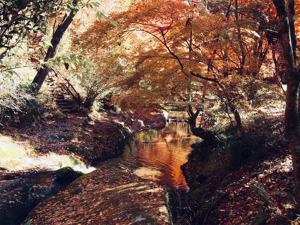 f:id:hiro0706chang:20201128212707j:image
