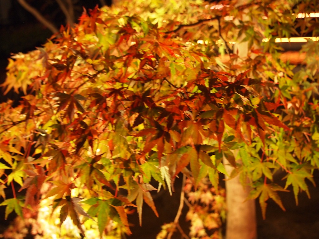 f:id:hiro0706chang:20201128212734j:image