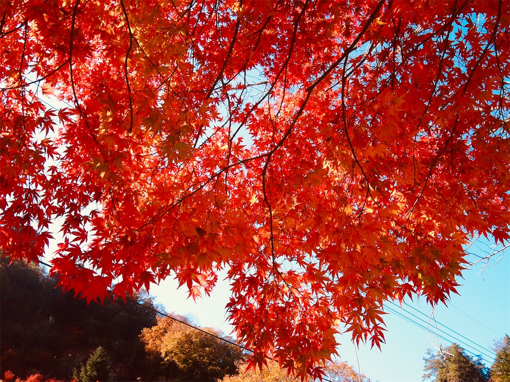 f:id:hiro0706chang:20201128212801j:image