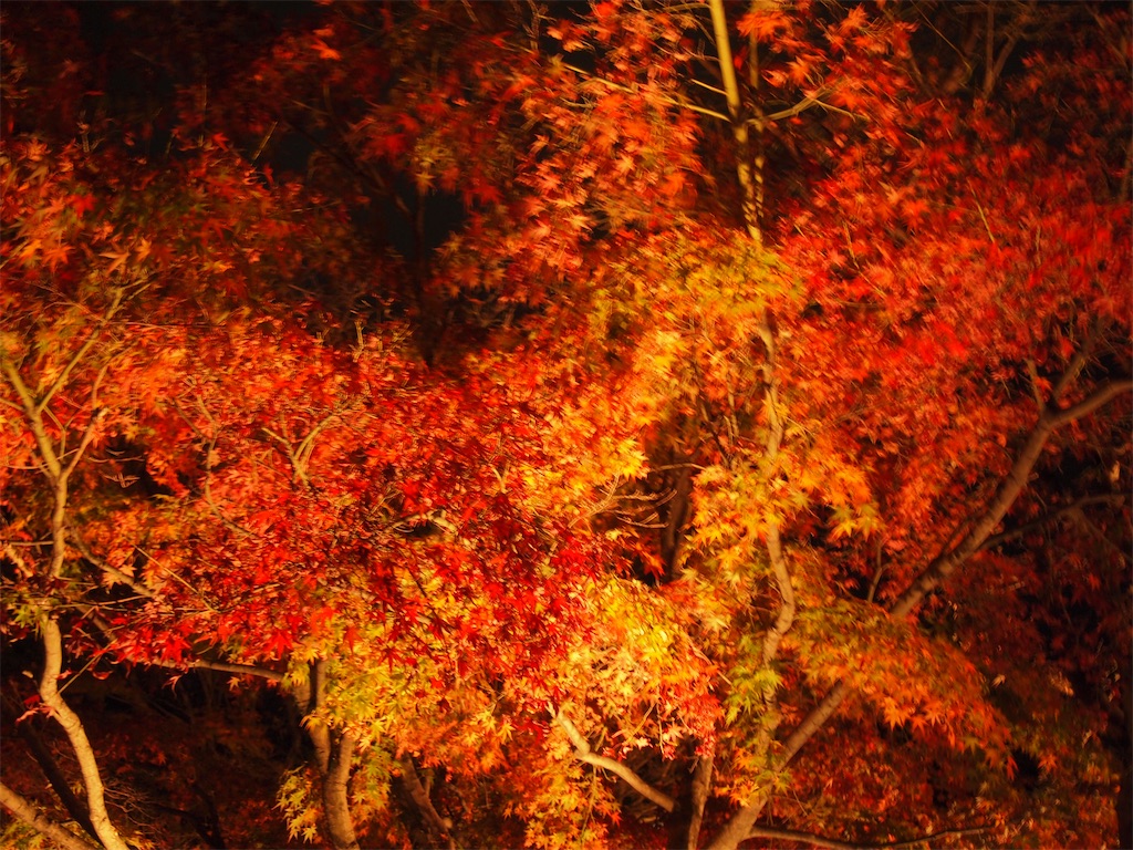 f:id:hiro0706chang:20201128212805j:image