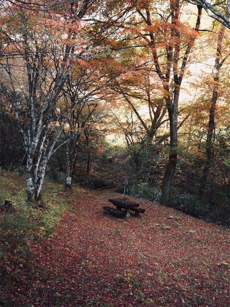 f:id:hiro0706chang:20201128212828j:image