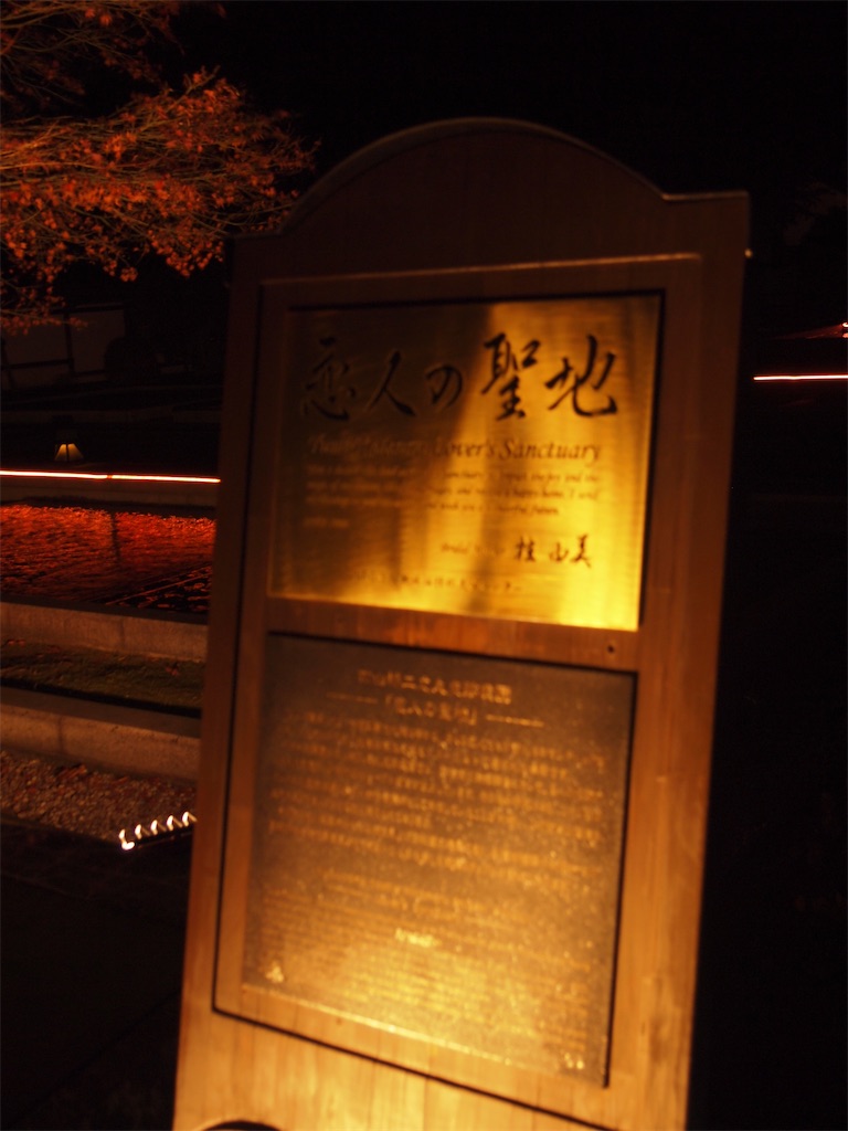 f:id:hiro0706chang:20201128212834j:image