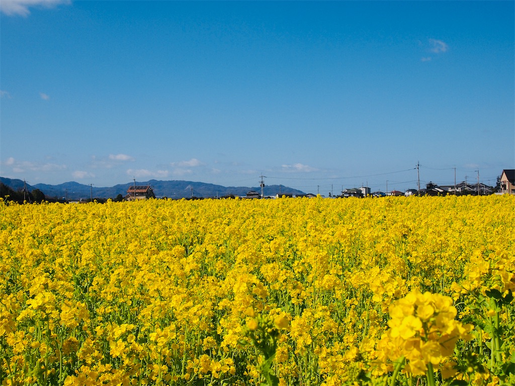 f:id:hiro0706chang:20210220230837j:image