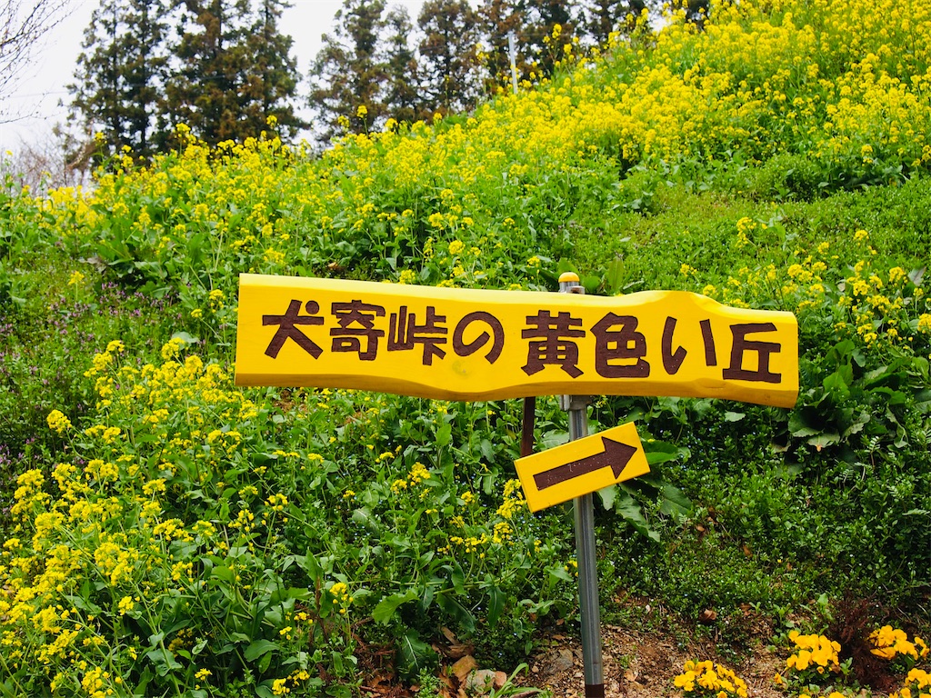 f:id:hiro0706chang:20210530161917j:image