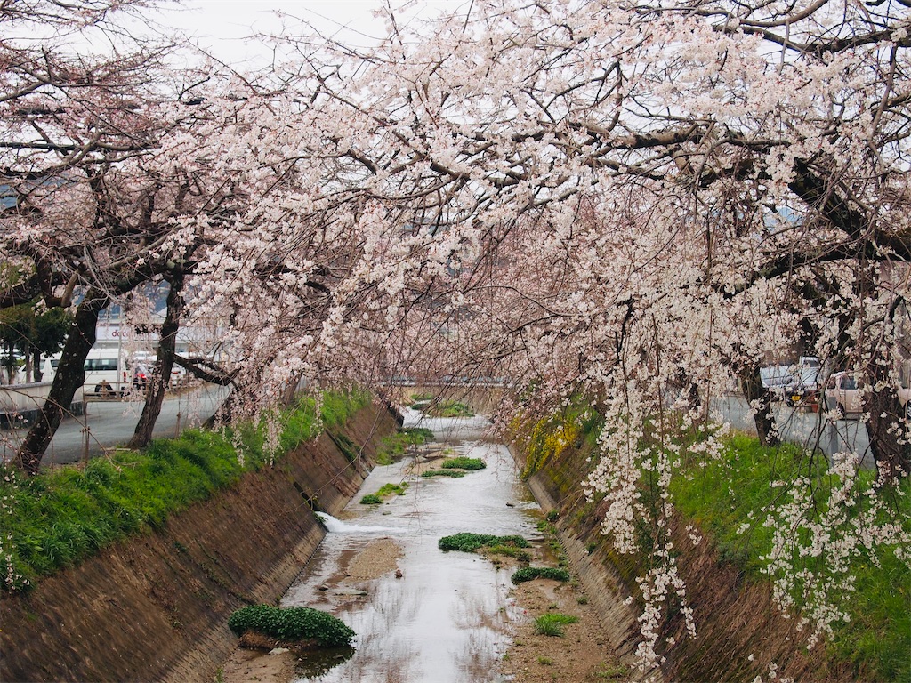 f:id:hiro0706chang:20210530161920j:image