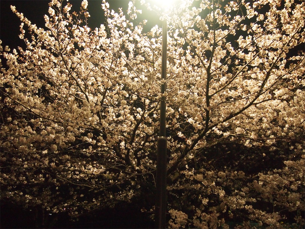 f:id:hiro0706chang:20210530162026j:image