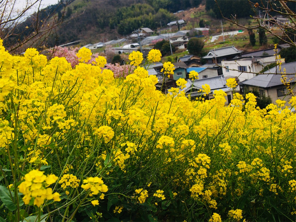 f:id:hiro0706chang:20210530162045j:image