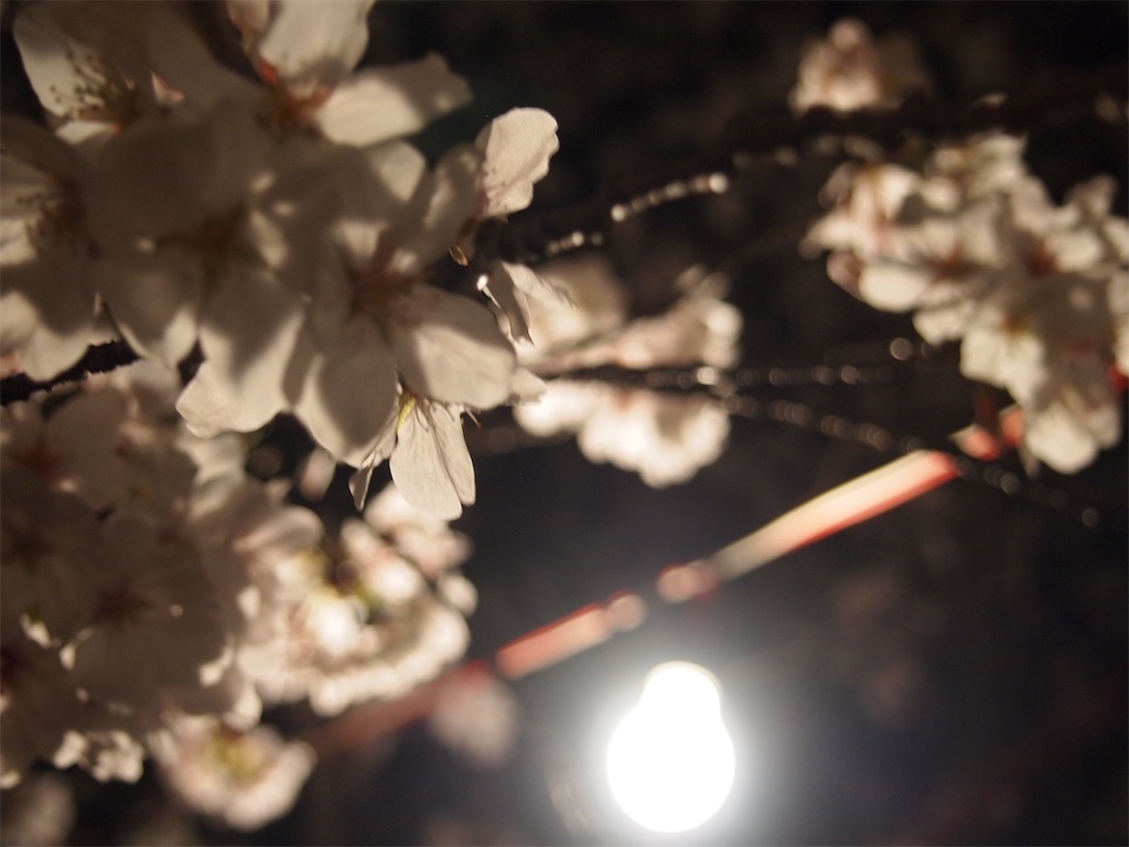 f:id:hiro0706chang:20210530162052j:image
