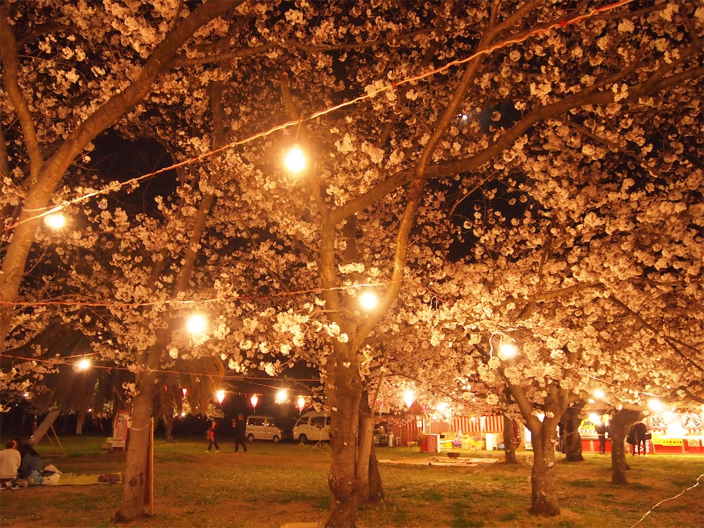 f:id:hiro0706chang:20210530162103j:image