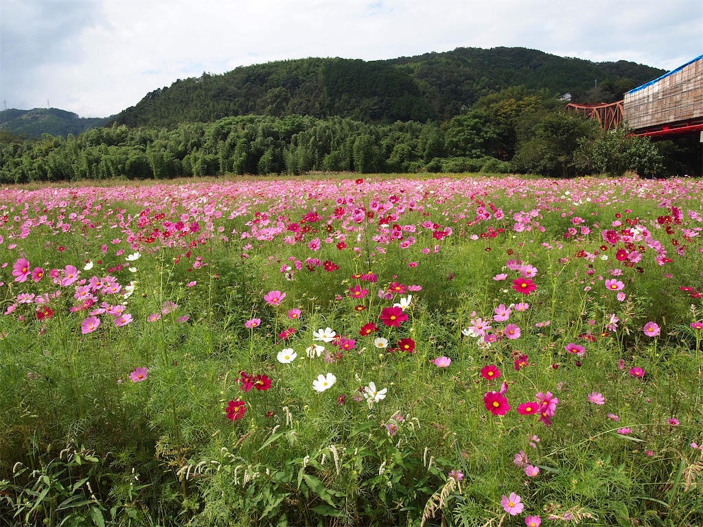 f:id:hiro0706chang:20211026195108j:image